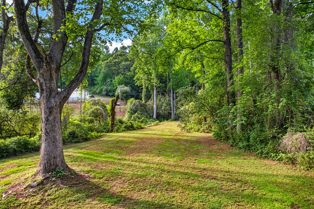 Dahlonega, Georgia, 30533, United States, 5 Bedrooms Bedrooms, ,4 BathroomsBathrooms,Residential,Active,2044582