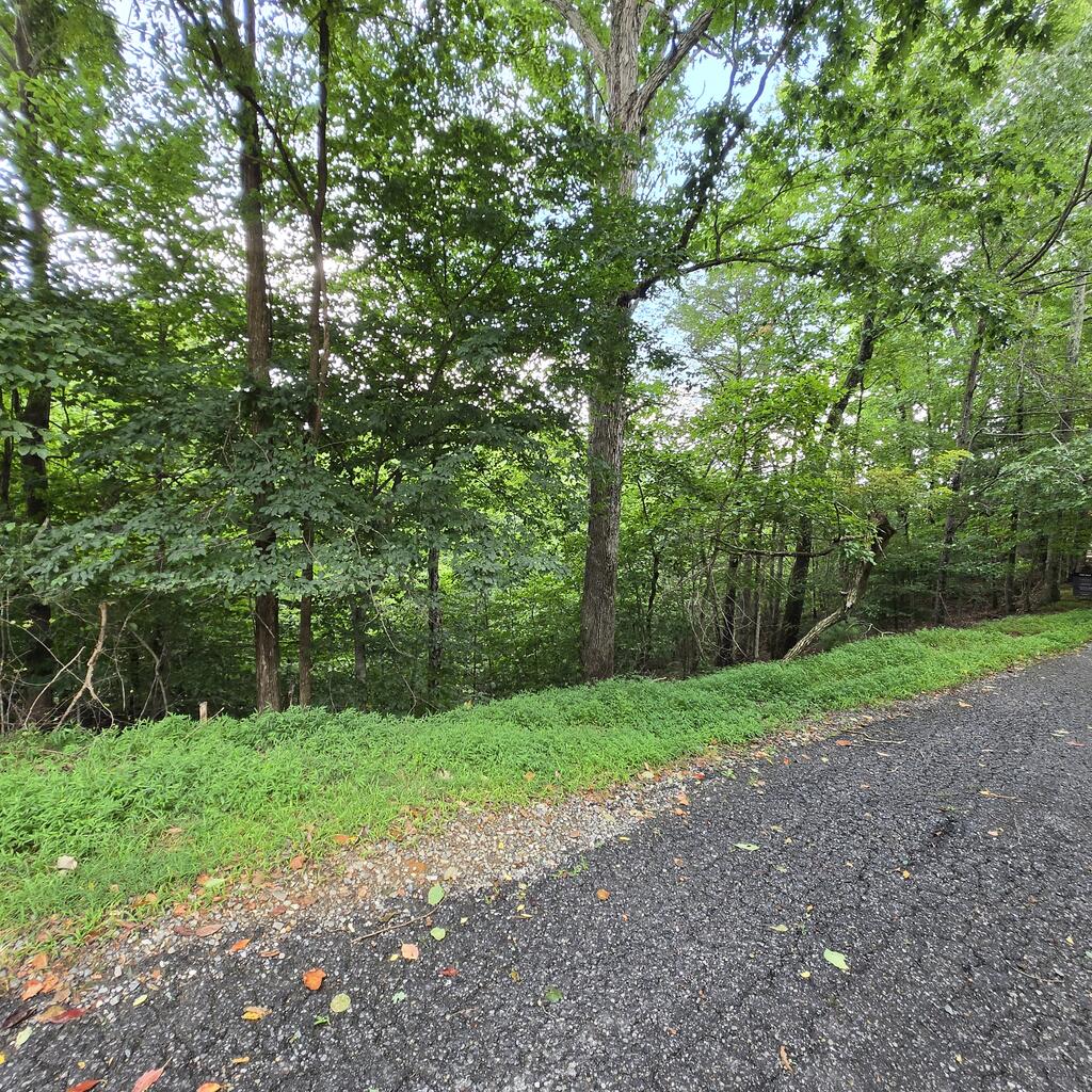 lot 71 Necowa Cove Overlook