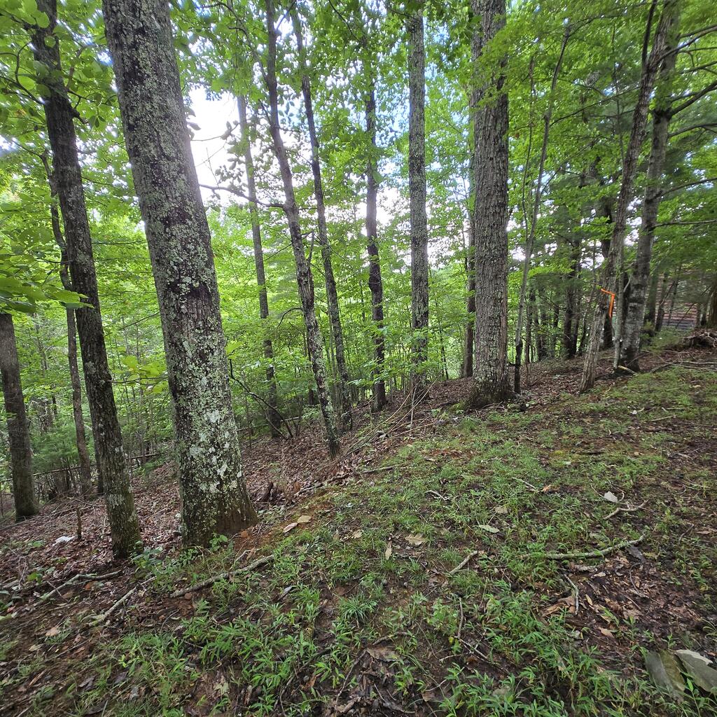 lot 71 Necowa Cove Overlook
