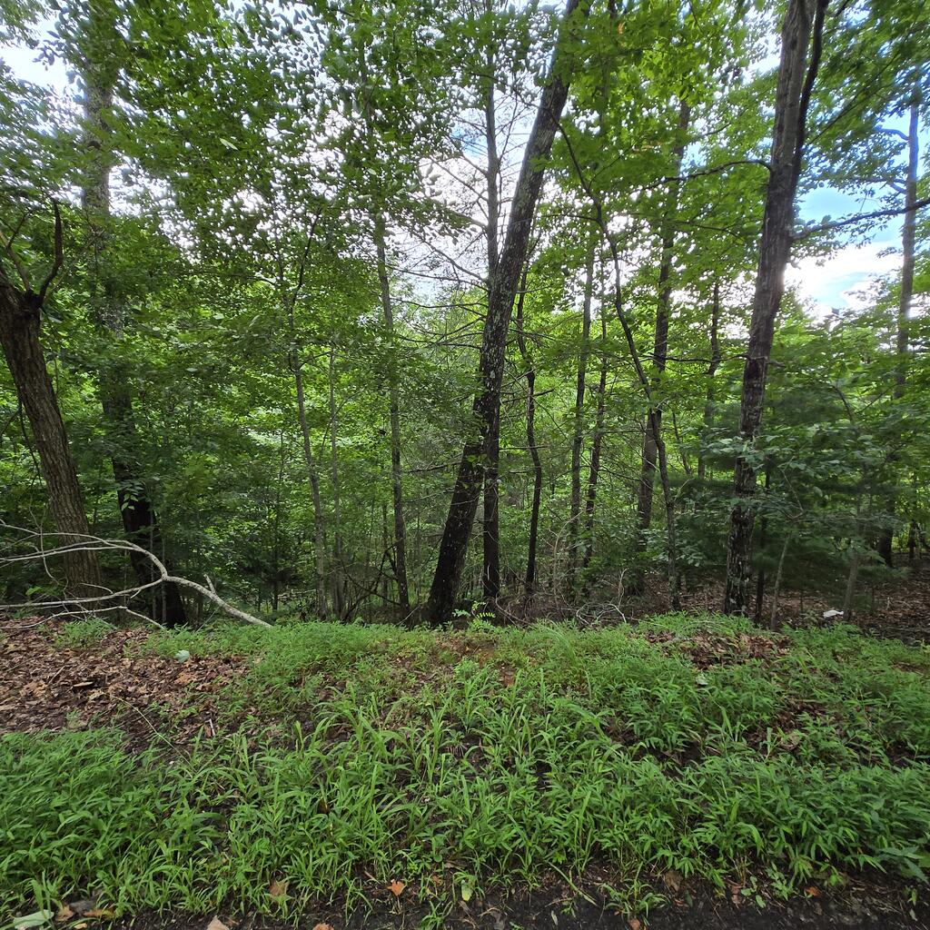 lot 71 Necowa Cove Overlook