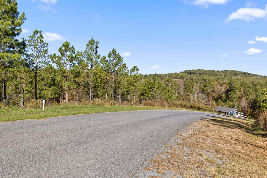Lot 334 Twisted Oak Road