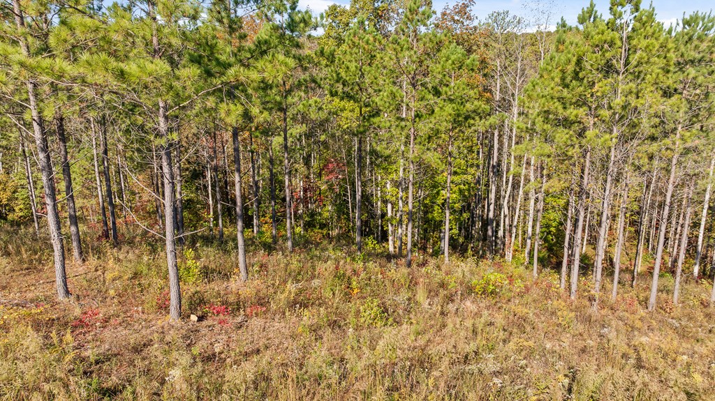 Lot 334 Twisted Oak Road