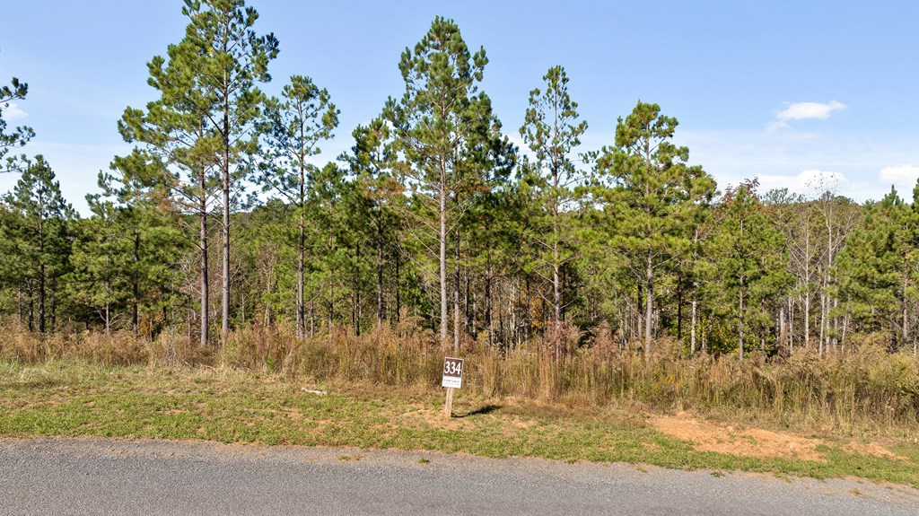 Lot 334 Twisted Oak Road