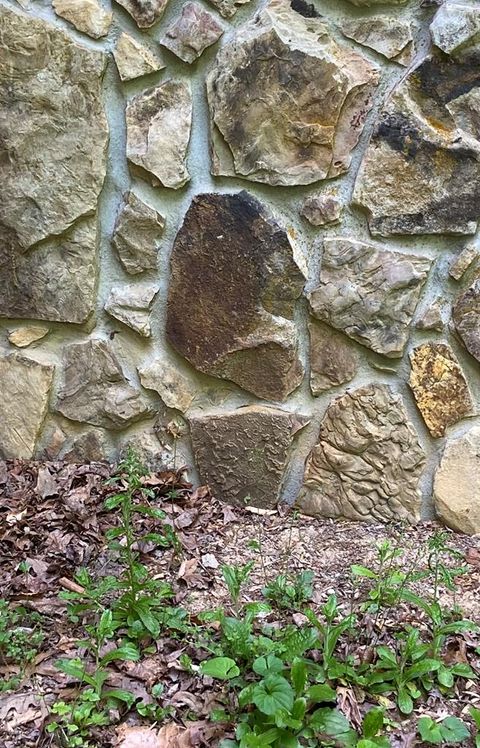 A home in Ellijay