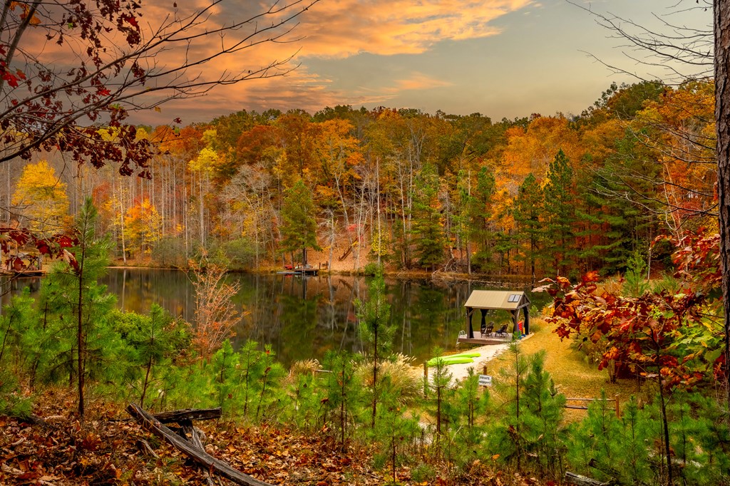 Morganton, Georgia, 30560, United States, 4 Bedrooms Bedrooms, ,4 BathroomsBathrooms,Residential,Active,2027048