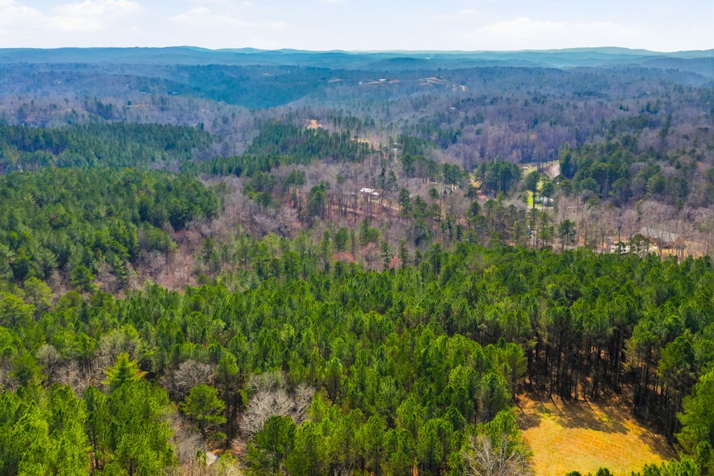 Ellijay, Georgia, 30540, United States, 3 Bedrooms Bedrooms, ,4 BathroomsBathrooms,Residential,Active,2025626