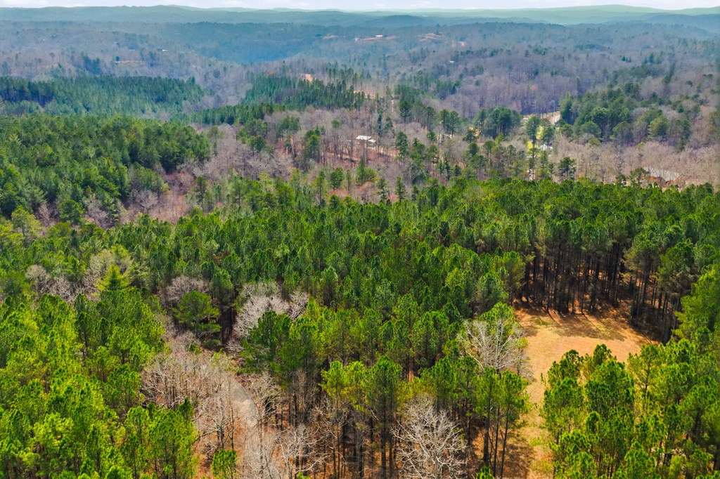 Ellijay, Georgia, 30540, United States, 3 Bedrooms Bedrooms, ,4 BathroomsBathrooms,Residential,Active,2025626