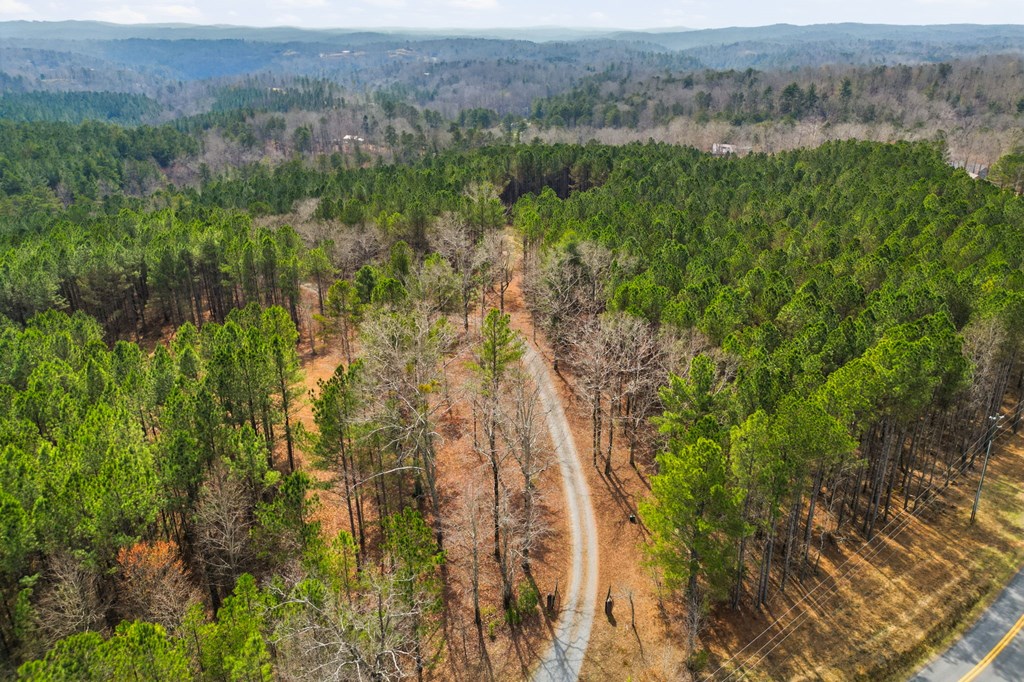 Ellijay, Georgia, 30540, United States, 3 Bedrooms Bedrooms, ,4 BathroomsBathrooms,Residential,Active,2025626