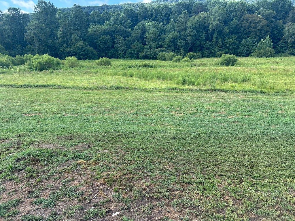 4029 Blue Ridge Hwy