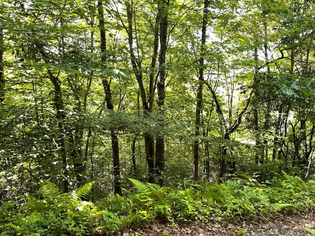 Lot 32 Big Cove Drive