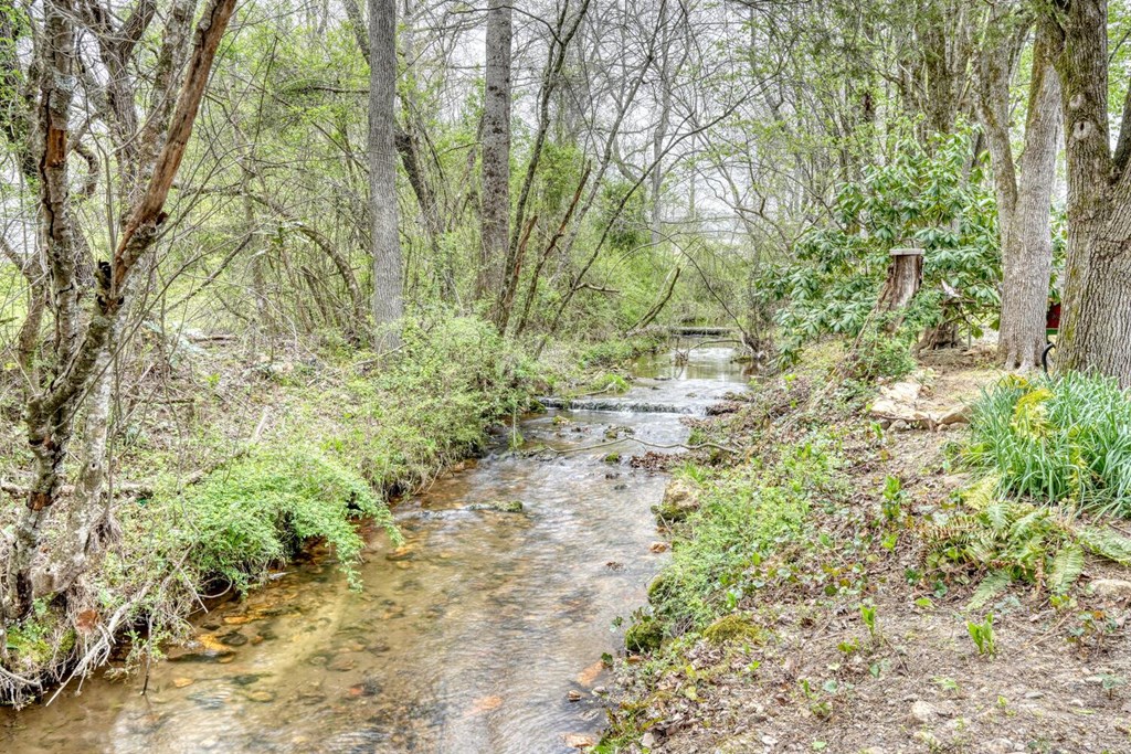 253 Conley Creek Circle