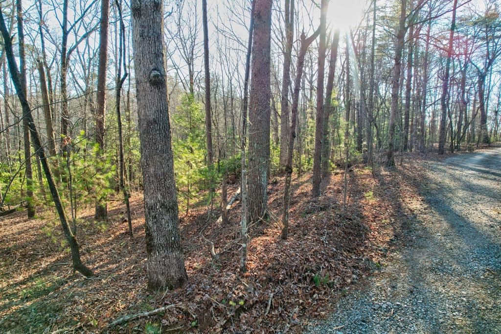 17.67 AC Mt. Mcgruder Road