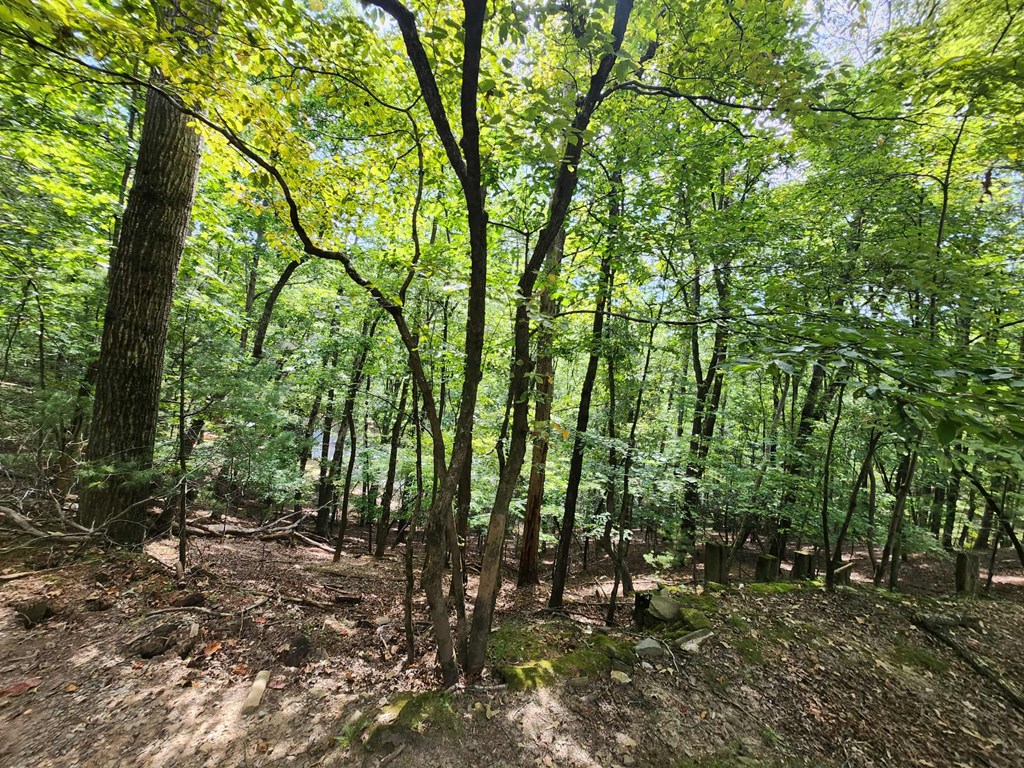 19B/2545 Frigate Drive