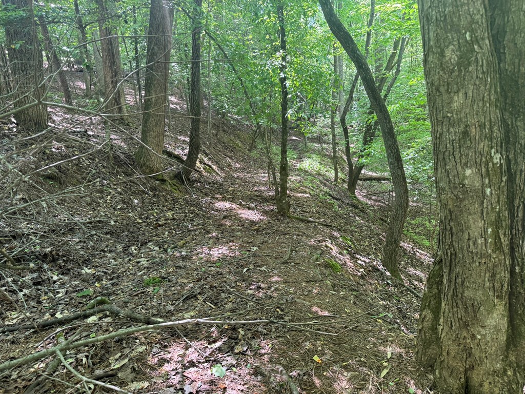 Lot 1721 Newport Drive