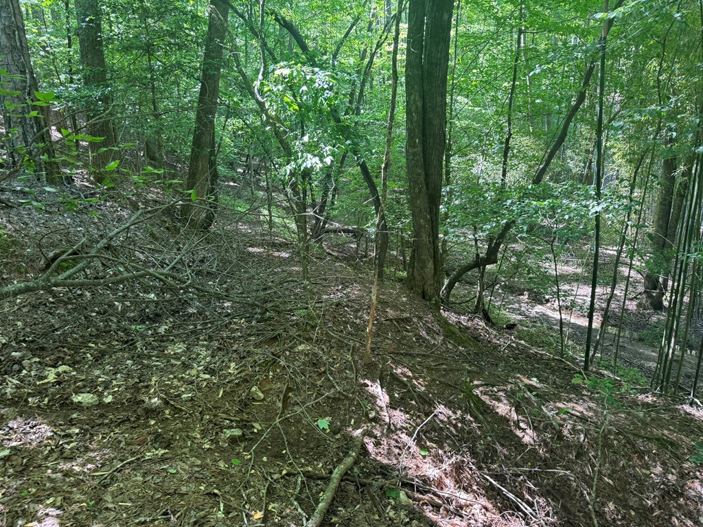 Lot 1721 Newport Drive