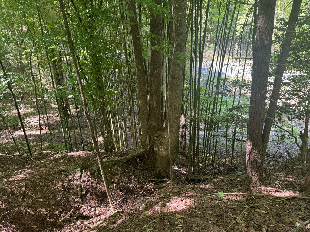 Lot 1721 Newport Drive