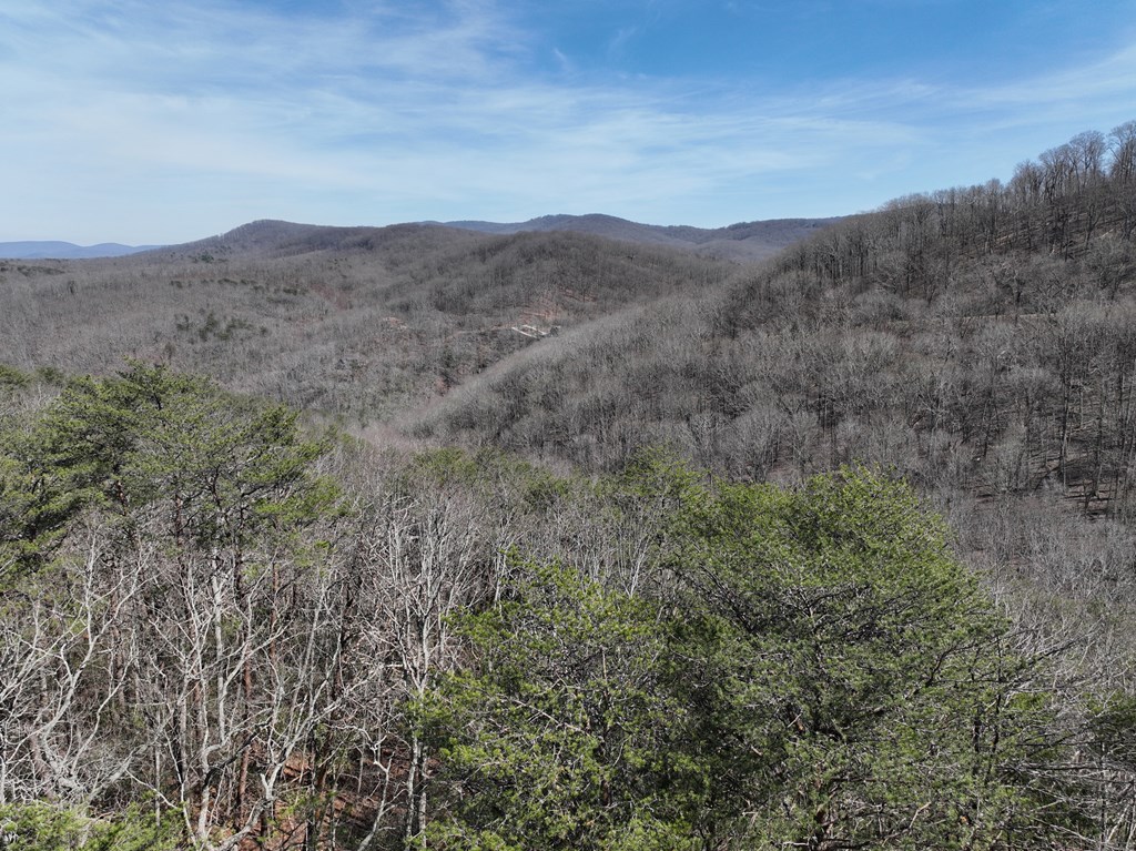 200 Stone Cliff Drive