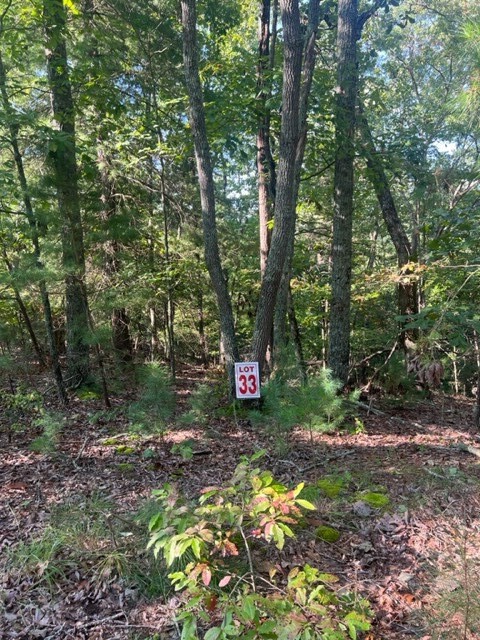 LT 33 Buck Creek Road