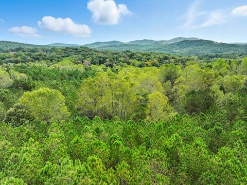 0 Old Pleasant Valley Talking Rock GA 30175