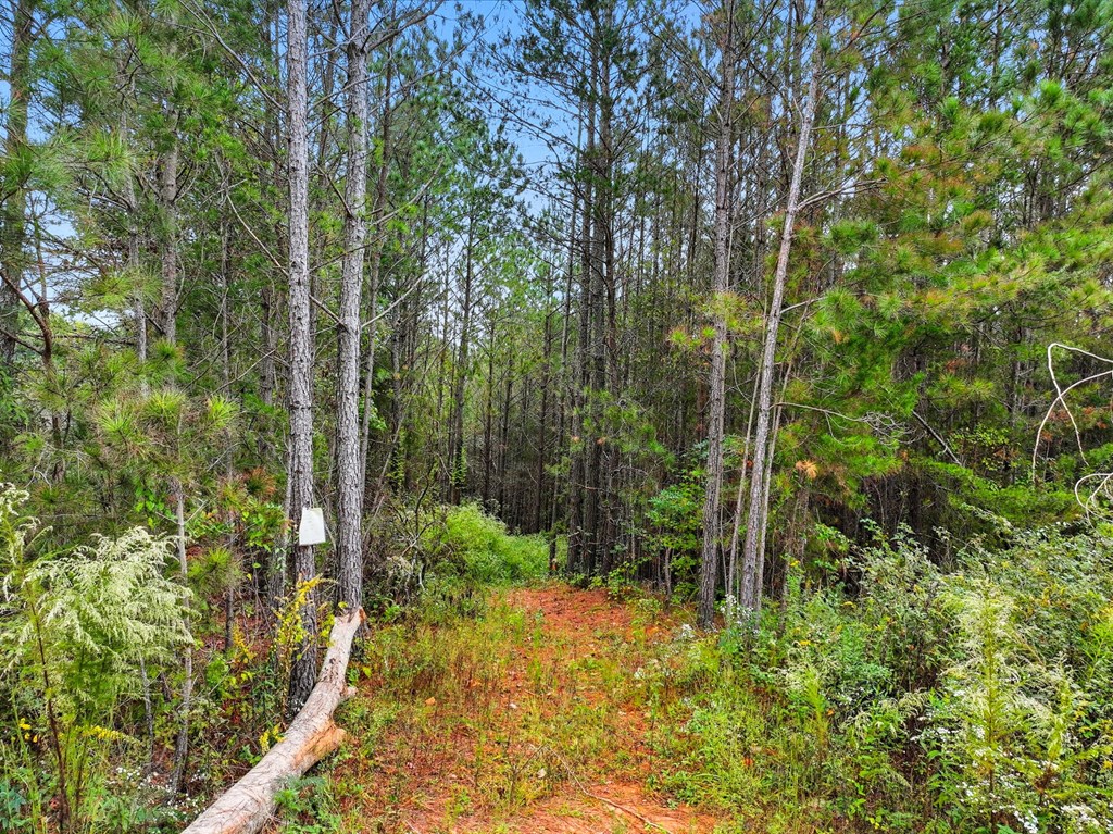 0 Old Pleasant Valley