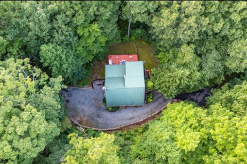 A home in Blue Ridge