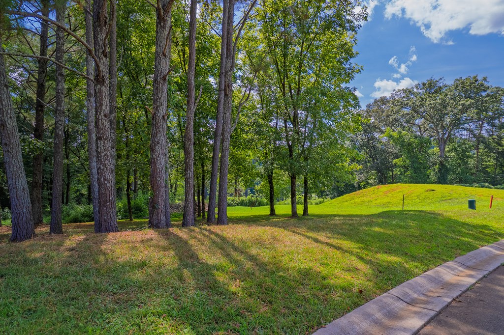 Lots 6-8 N Parkview Drive