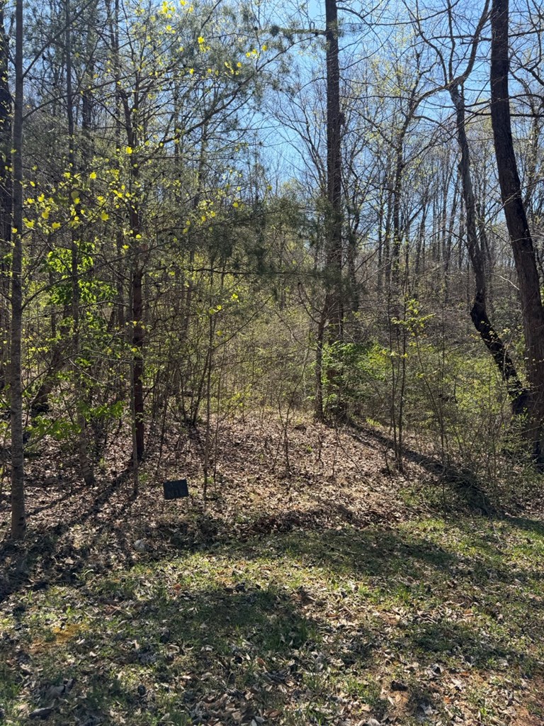 Lot 16-N High Meadows Drive