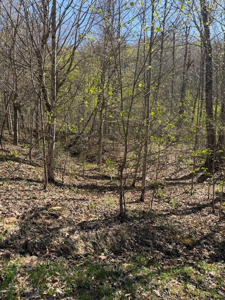 Lot 16-N High Meadows Drive