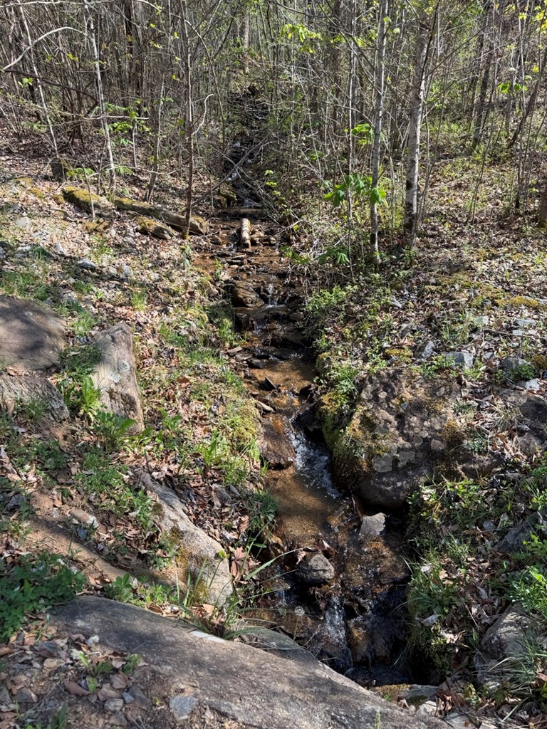 Lot 16-N High Meadows Drive
