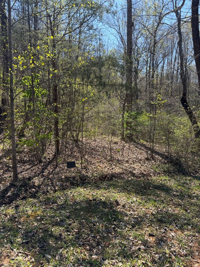 Lot 16-N High Meadows Drive