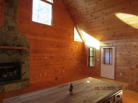 A home in Mineral Bluff