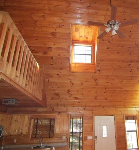 A home in Mineral Bluff