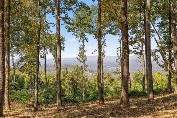 LOT 402 DOUBLE OAK TRL, TALKING ROCK, GA 30175 - Image 574d785533e6b7ff7cd3066a6a2ae2d8/3975395317