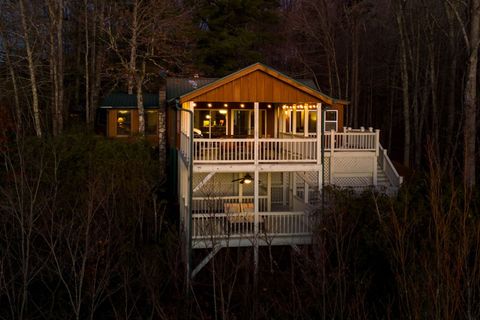 A home in Mineral Bluff