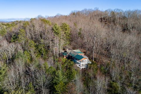 A home in Mineral Bluff