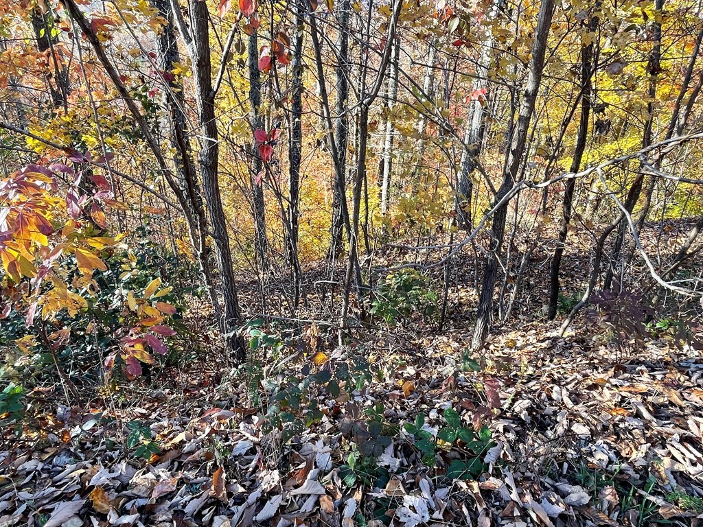 Lot 37M Ridges Overlook