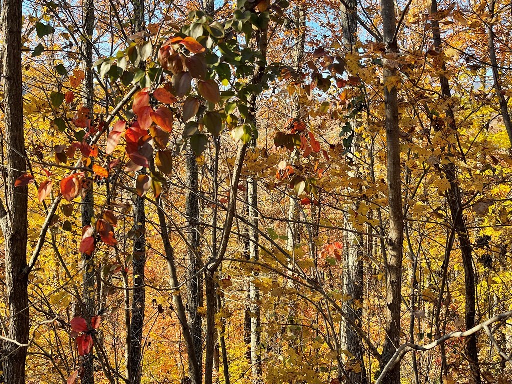 Lot 37M Ridges Overlook