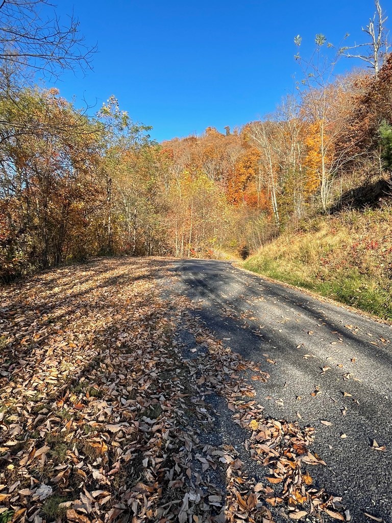 Lot 37M Ridges Overlook