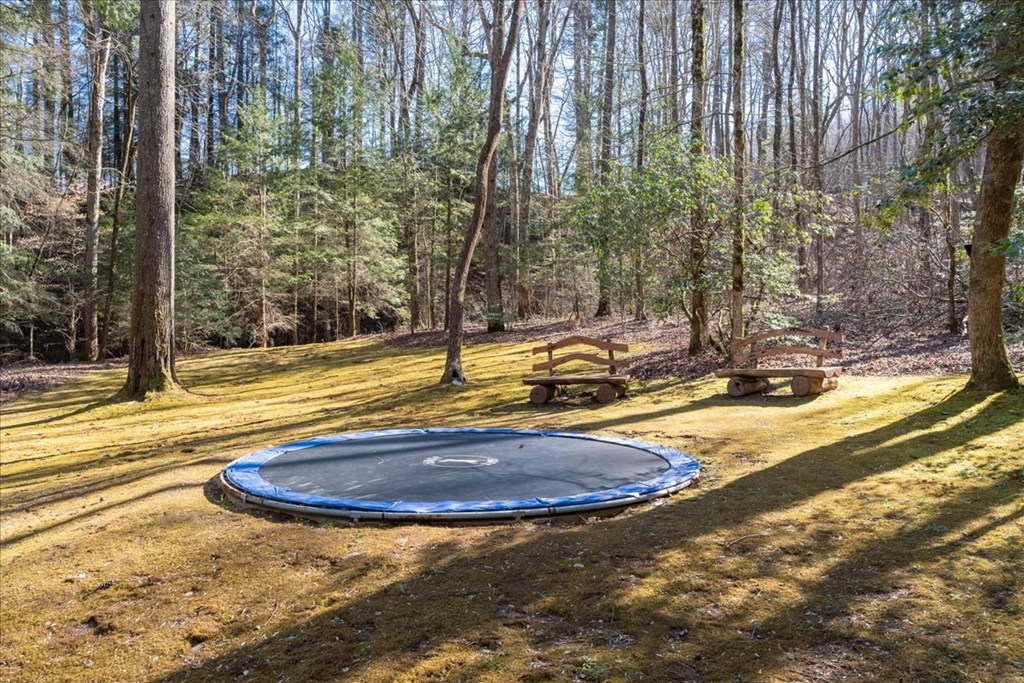 Ellijay, Georgia, 30540, United States, 5 Bedrooms Bedrooms, ,7 BathroomsBathrooms,Residential,Active,2041495