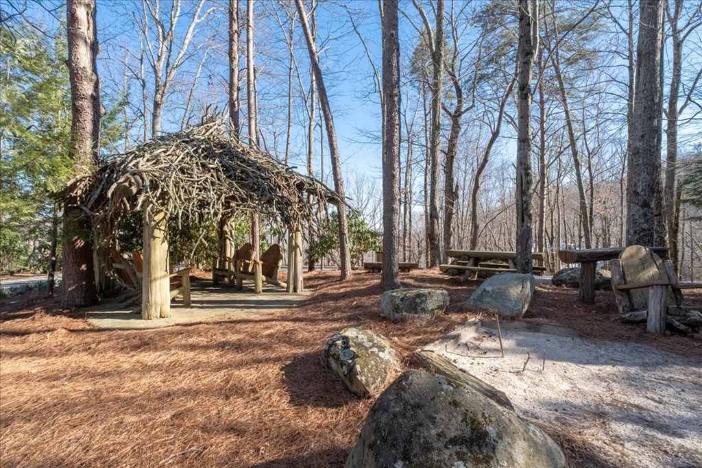 Ellijay, Georgia, 30540, United States, 5 Bedrooms Bedrooms, ,7 BathroomsBathrooms,Residential,Active,2041495