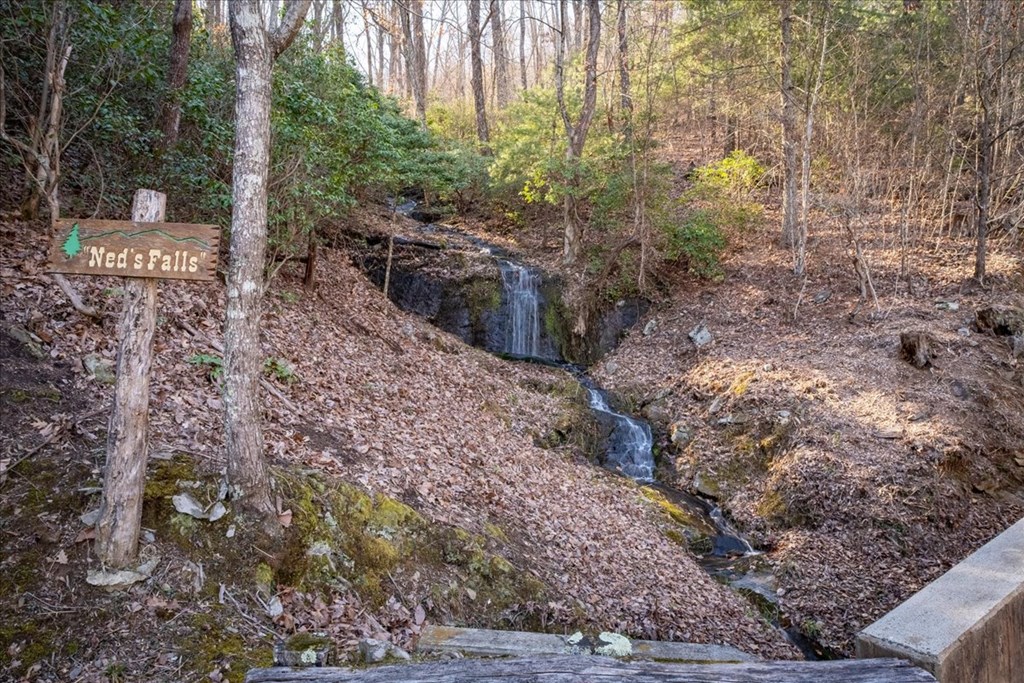 Ellijay, Georgia, 30540, United States, 5 Bedrooms Bedrooms, ,7 BathroomsBathrooms,Residential,Active,2041495