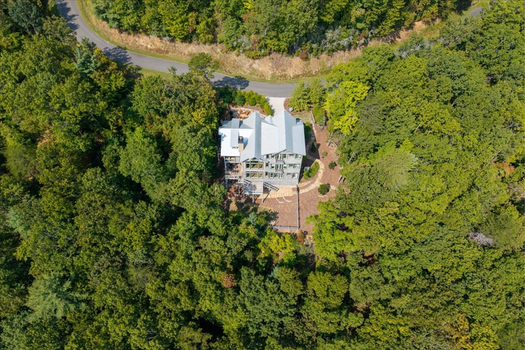 Ellijay, Georgia, 30540, United States, 5 Bedrooms Bedrooms, ,7 BathroomsBathrooms,Residential,Active,2041495
