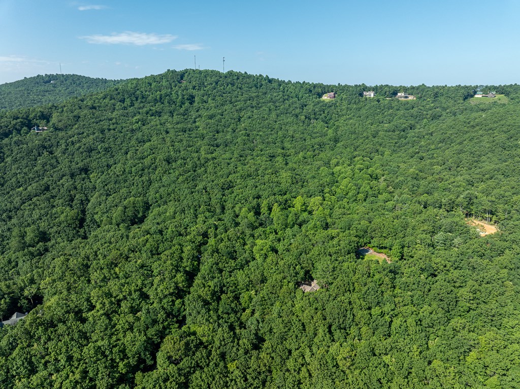 1298 Cold Stream Trail