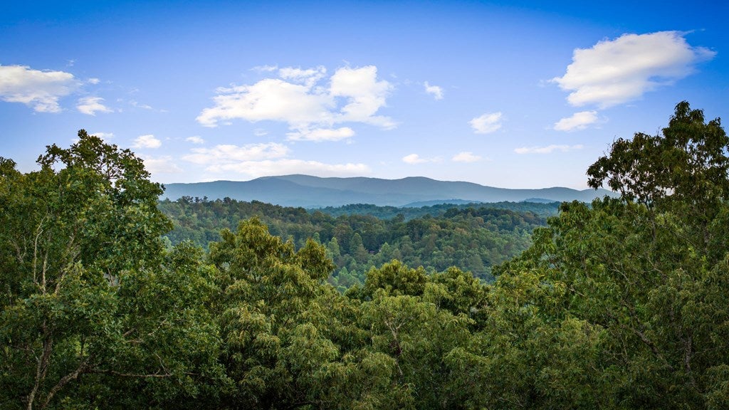 241 Wolf Creek Mountain Road