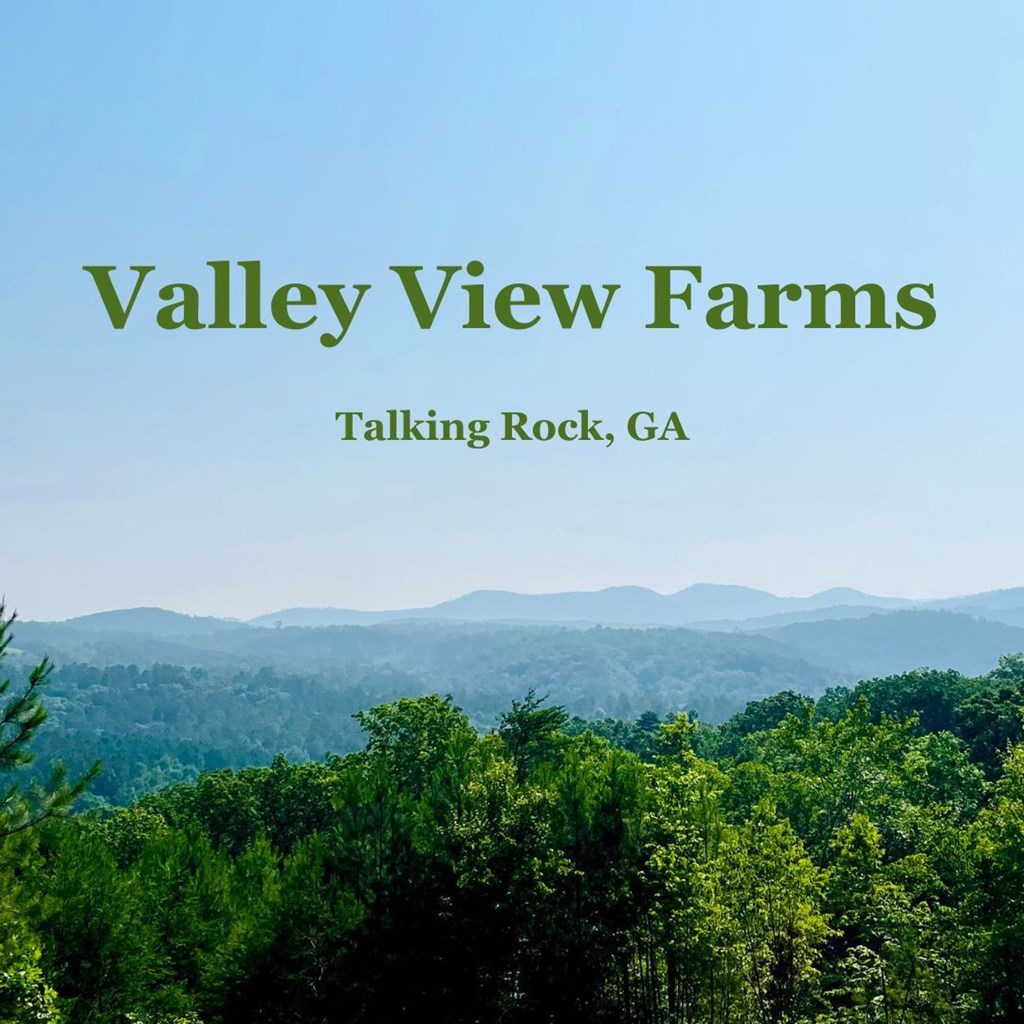 655 Lookout Valley Trail