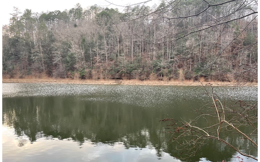 681,682 Julep Circle