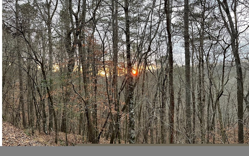 681,682 Julep Circle