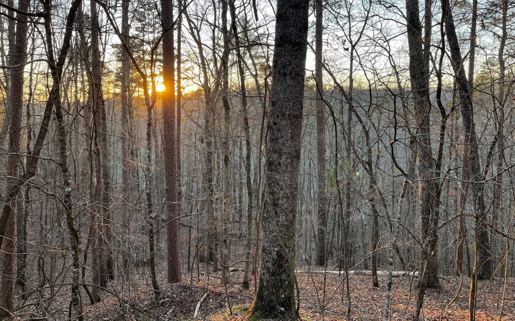 681,682 Julep Circle