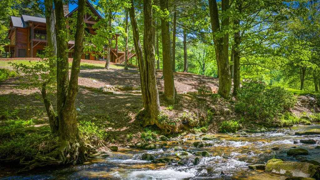 Cherry Log, Georgia, 30522, United States, 5 Bedrooms Bedrooms, ,5 BathroomsBathrooms,Residential,Active,2045528
