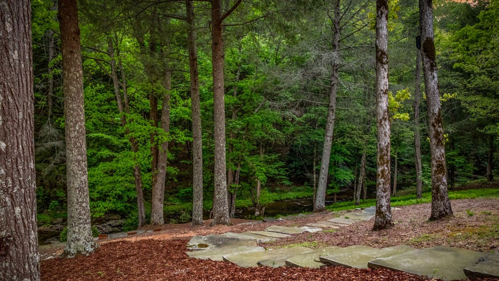 Cherry Log, Georgia, 30522, United States, 5 Bedrooms Bedrooms, ,5 BathroomsBathrooms,Residential,Active,2045528